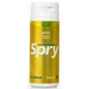 27ct Tube Gum - Fresh Fruit