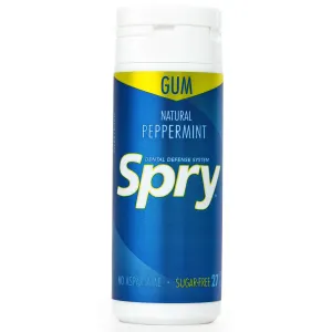 27ct Tube Gum - Peppermint