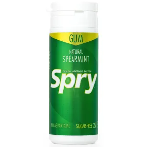 27ct Tube Gum - Spearmint