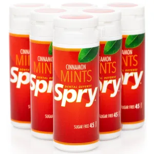 45ct Tube Mints - Cinnamon (6 pack)