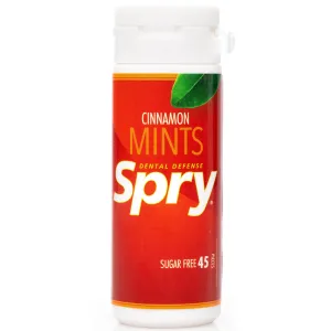 45ct Tube Mints - Cinnamon