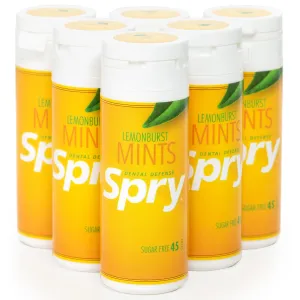 45ct Tube Mints - LemonBurst (6 pack)