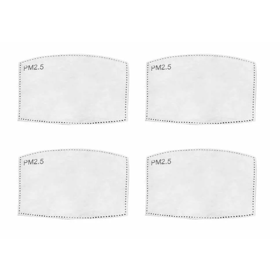 Adult Mask Filter for Reusable Mask