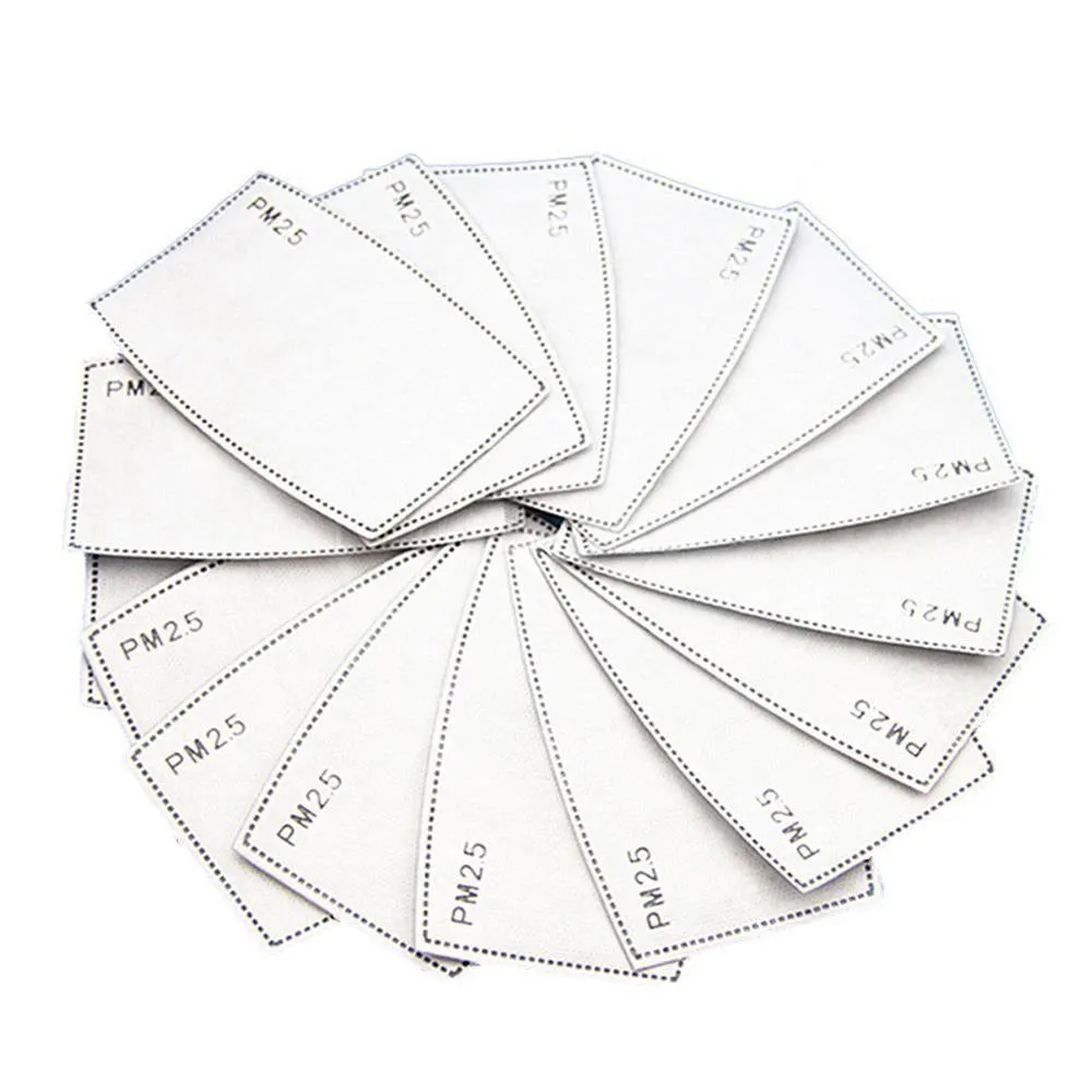 Adult Mask Filter for Reusable Mask