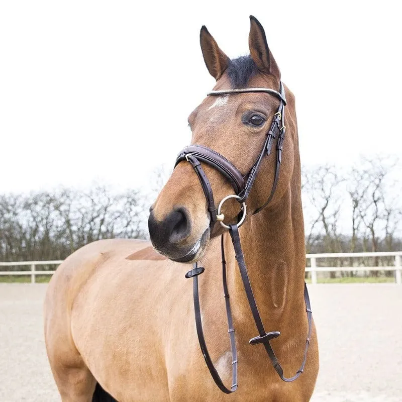Horze Crescendo Lester Bridle