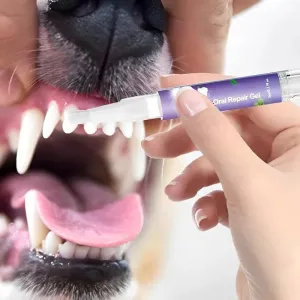 NEW Pet Oral Repair Gel, Safe and effective oral repair gel for dogs and cats