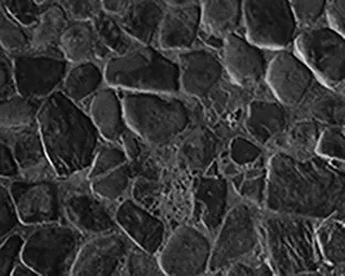October Stone Floor