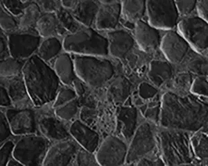 October Stone Floor