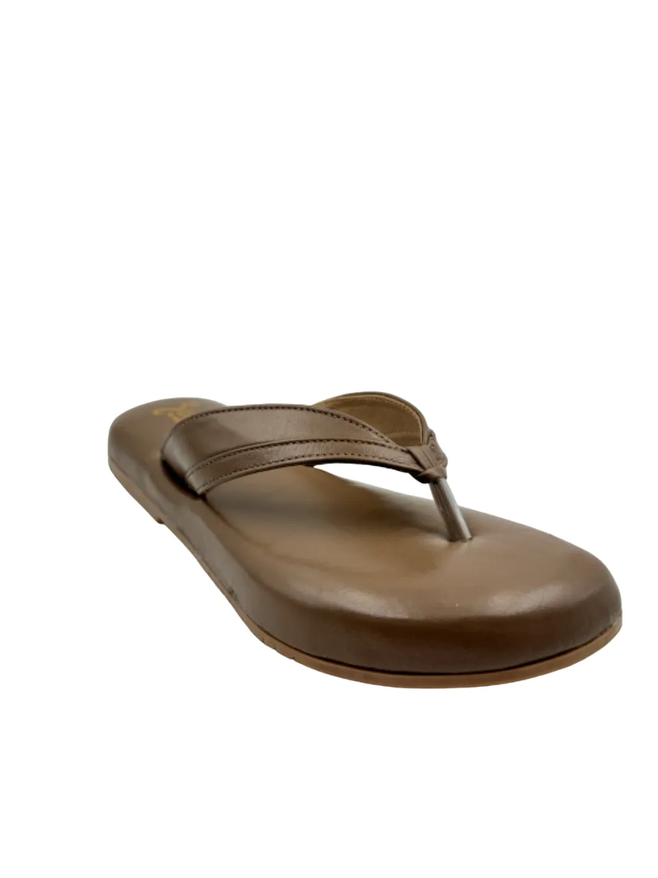 Ortho Evergreen Gaadiwala GD 10