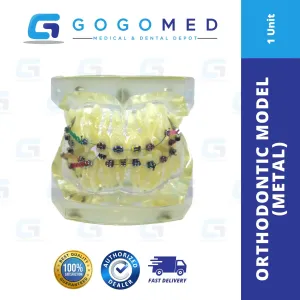Orthodontic Model (Metal)