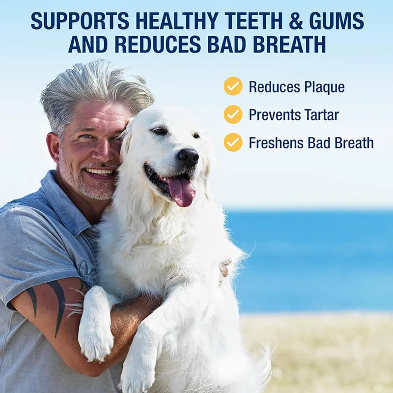 PlaqueOff Powder for Dogs