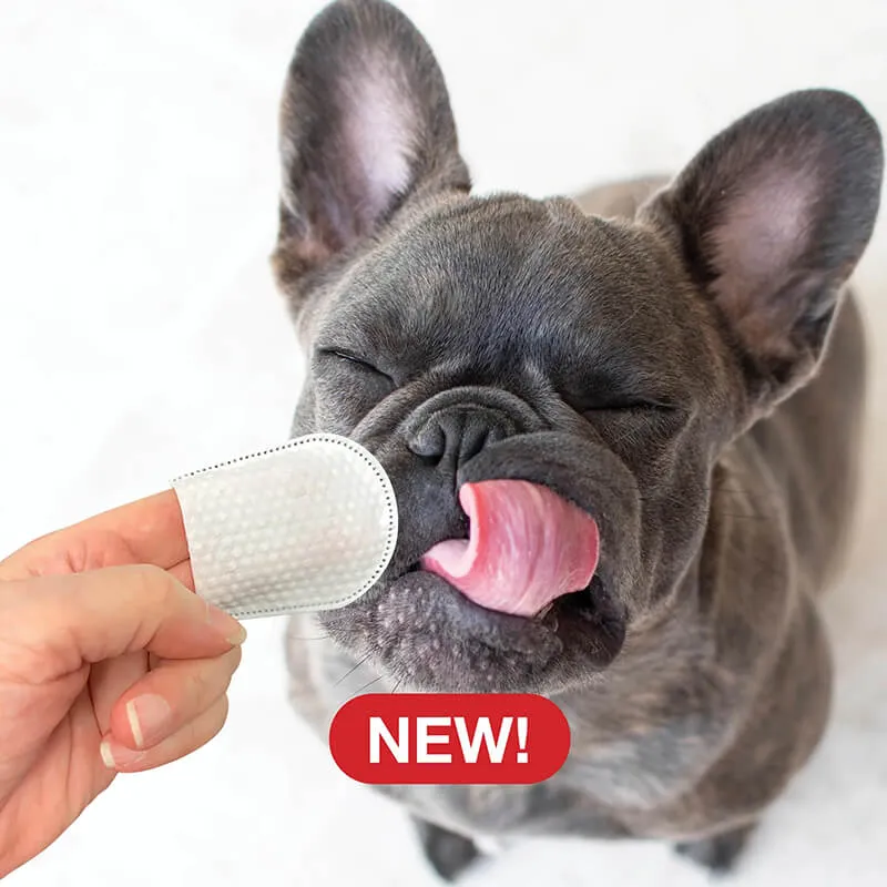 Pure and Natural Pet Organic Dental Finger Wipes