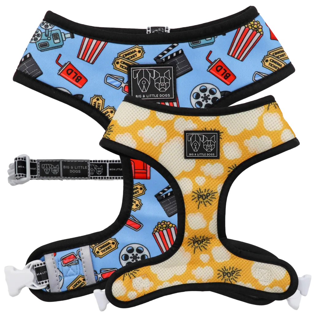 "Lights, Camera, Action" Reversible Harness