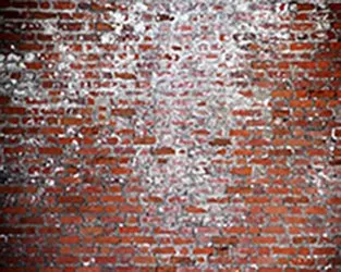 Rino Brick Floor