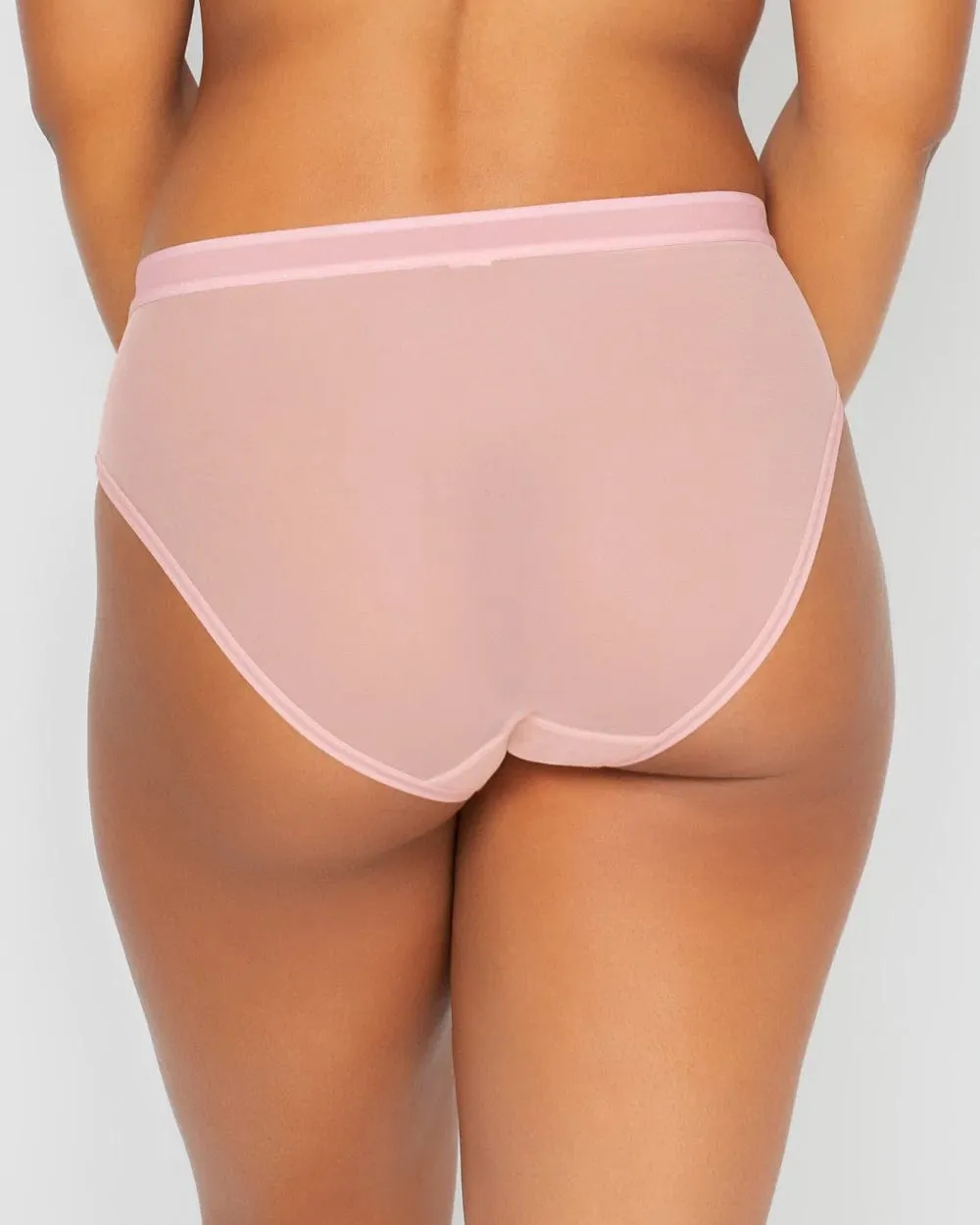 Sheer Mesh High Cut Brief - Blushing Rose