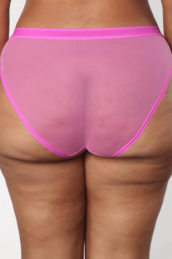 Sheer Mesh High Cut Brief - Pink