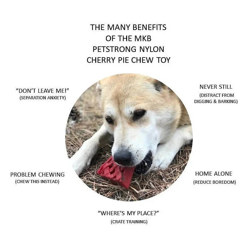 Soda Pup Nylon Cherry Pie Chew & Enrichment Toy
