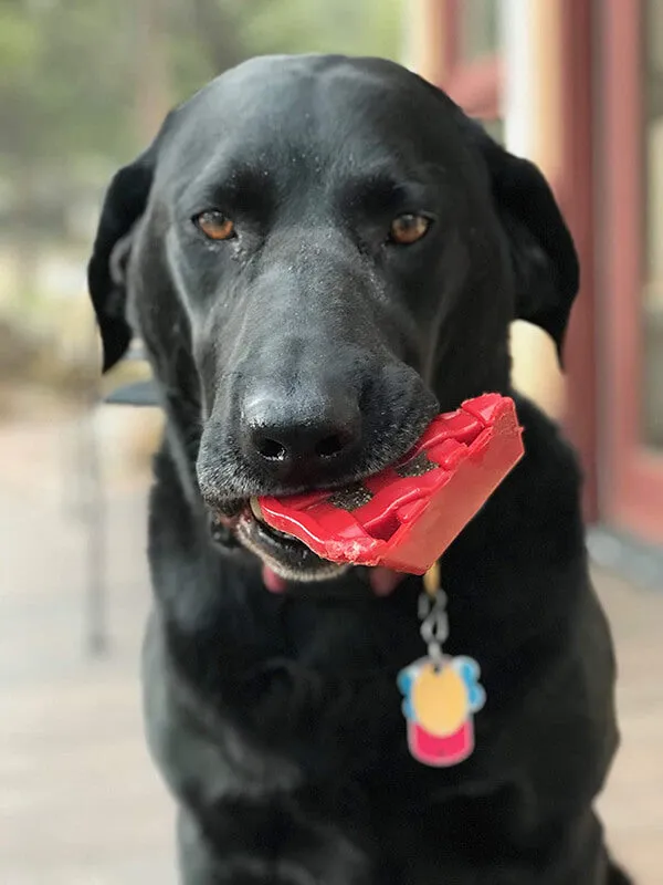 Soda Pup Nylon Cherry Pie Chew & Enrichment Toy