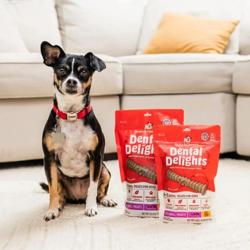 Stella & Chewy's Dental Delights Small
