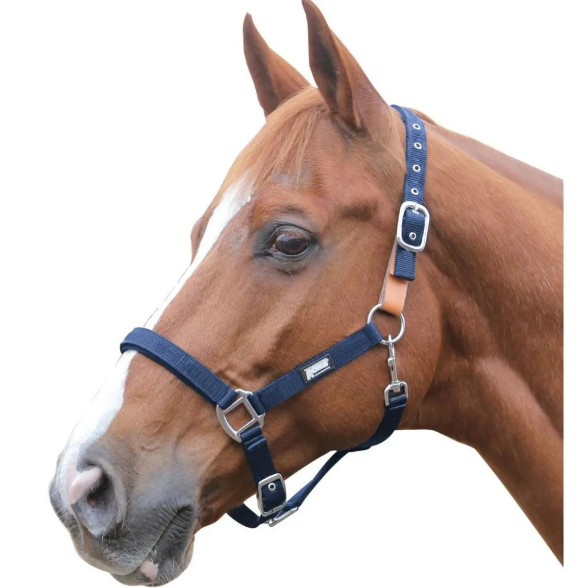 Weatherbeeta Cozi-Dri Standard Neck