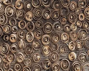 Wood Curls Floor