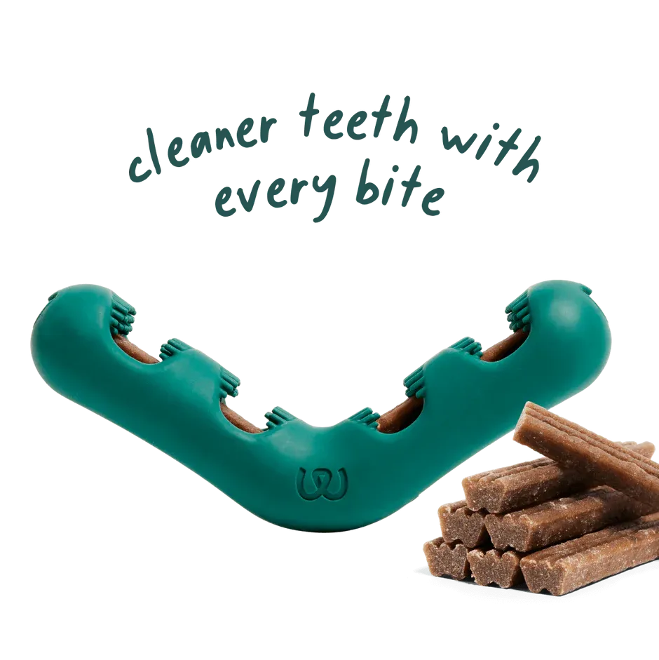 Woof Bite n' Brush